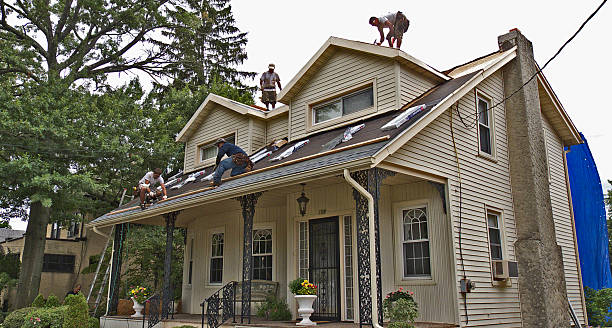 Best Storm Damage Roof Repair  in Morehead City, NC